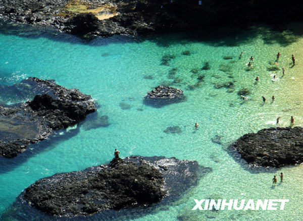 费尔南多—迪诺罗尼亚岛冰球突破正规网站美